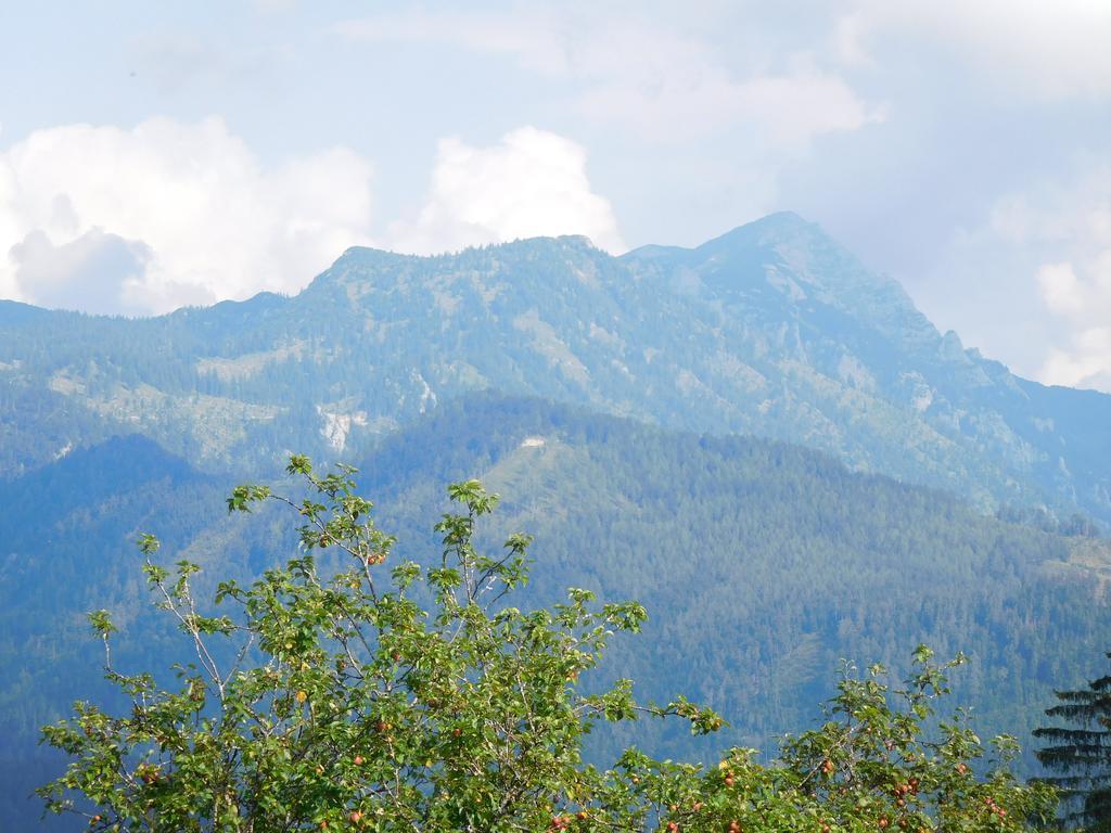 Urlaub Am Bauernhof Blamauer Koehr Goestling an der Ybbs Luaran gambar