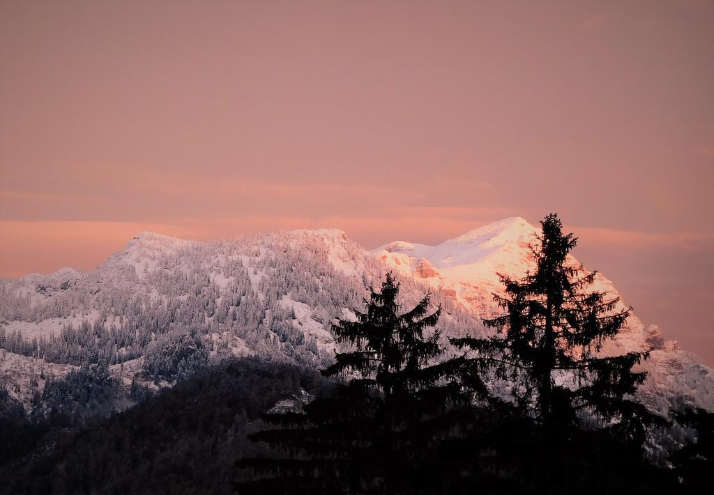 Urlaub Am Bauernhof Blamauer Koehr Goestling an der Ybbs Luaran gambar